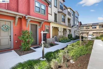 922 Noble Fir Ter 5