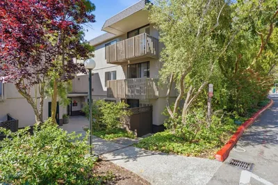 1126 Shelter Creek Lane