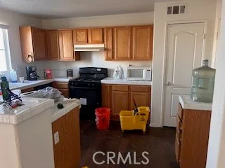 16915 GRAND TRIASSIC Lane photo 2