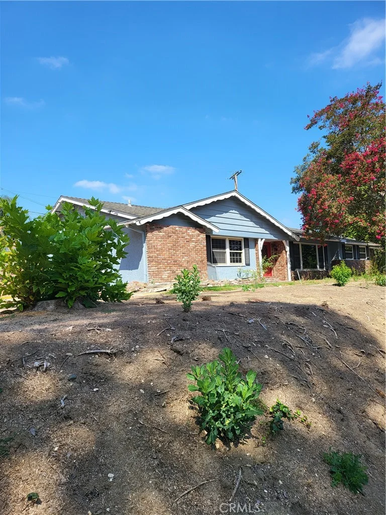 1517 Longview