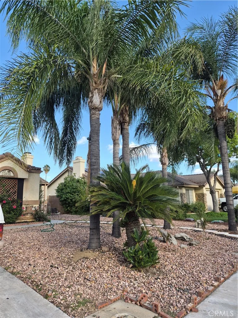 14830 La Brisis Way photo 2