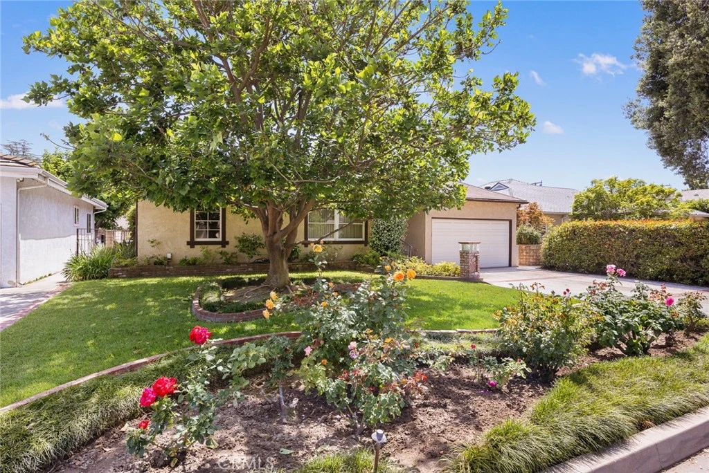 Interior 1