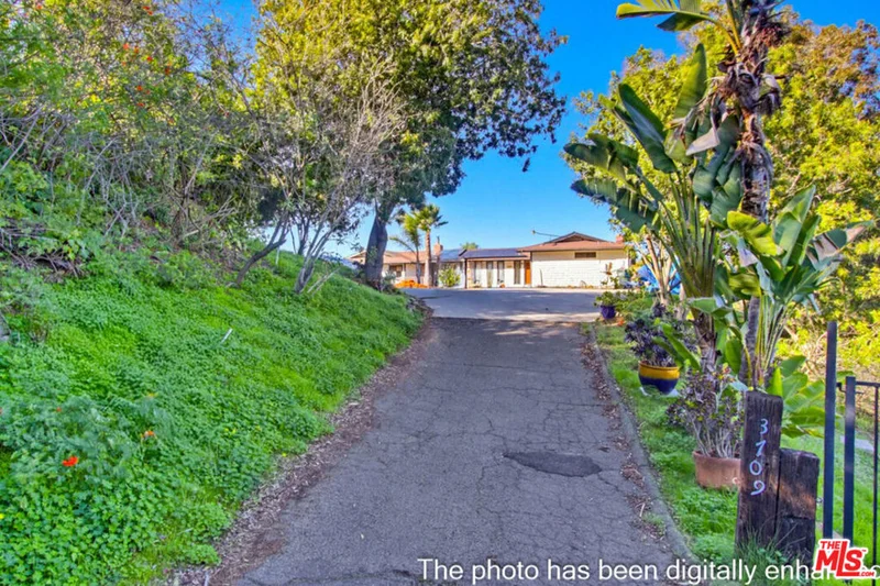 3709 Buena Creek Road photo 2