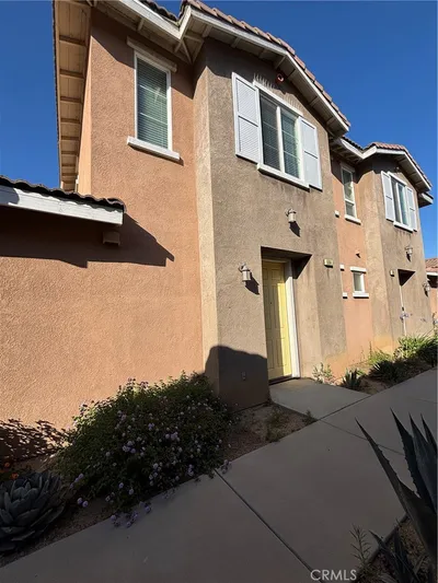 824 Coriander 504