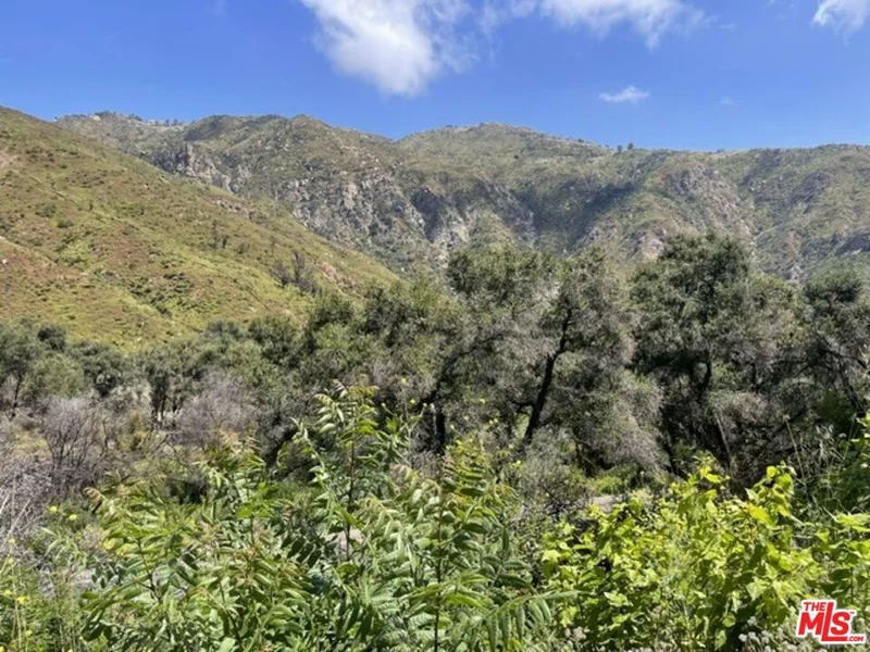 2070 Las Flores Canyon Road