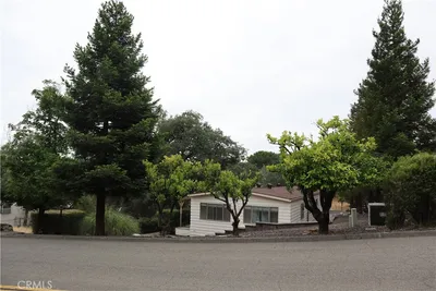 6165 Kanaka photo 2