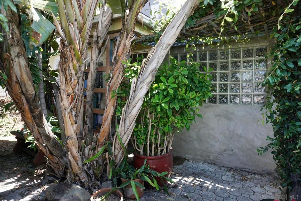 Interior 3