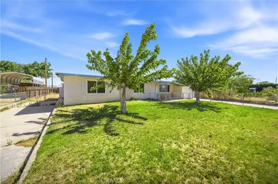 24285 Sage photo 2