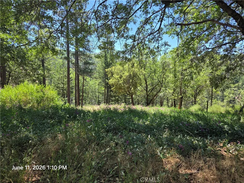 10481 Sycamore, Loch Lomond, CA 95461