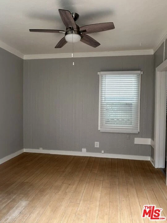Interior 4