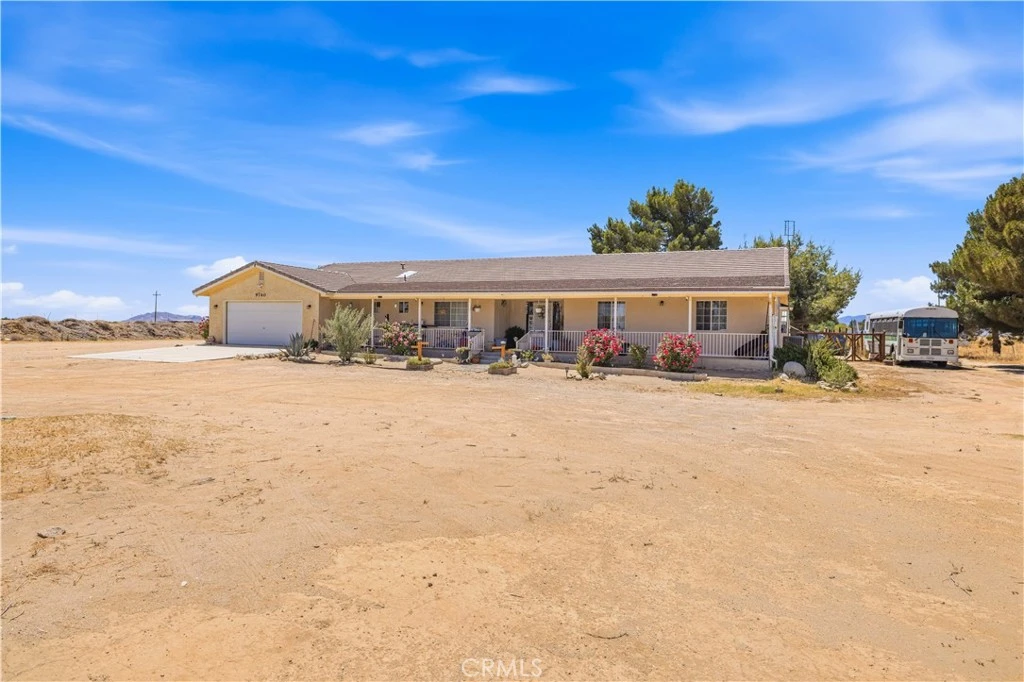 Interior 1