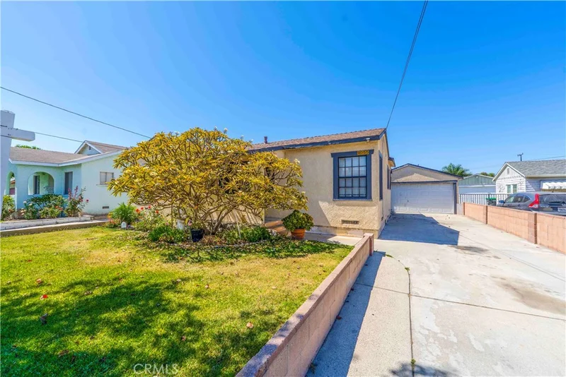 9055 Walnut