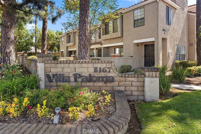 8167 Vineyard 3