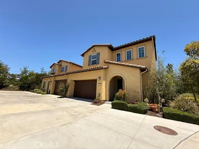 629 Agapanthus