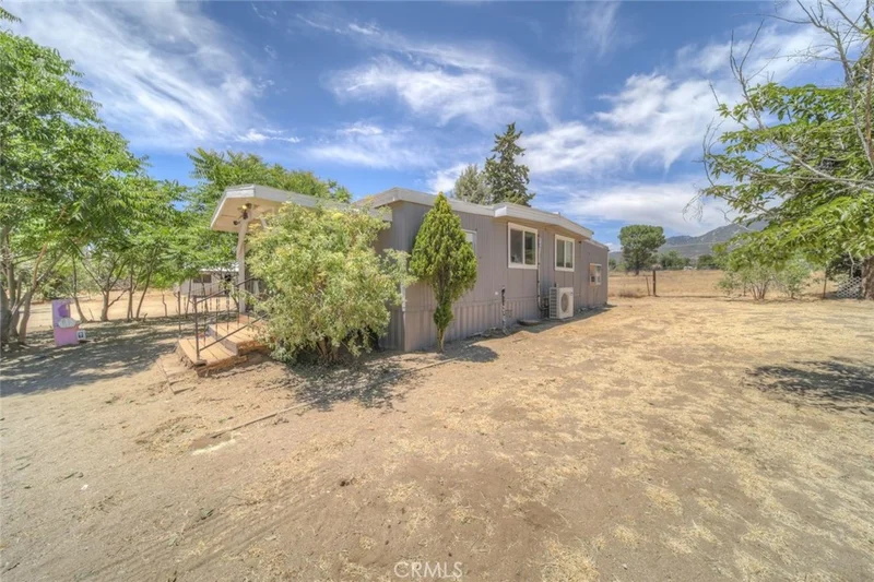 38071 Whitmore photo 2