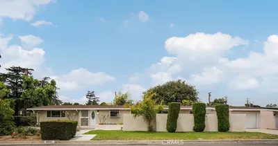 8503 Callita