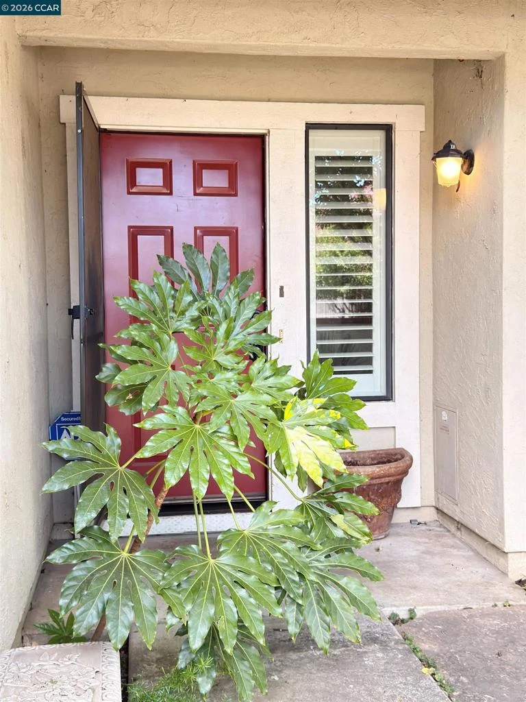 1640 San Vicente Ave photo 2