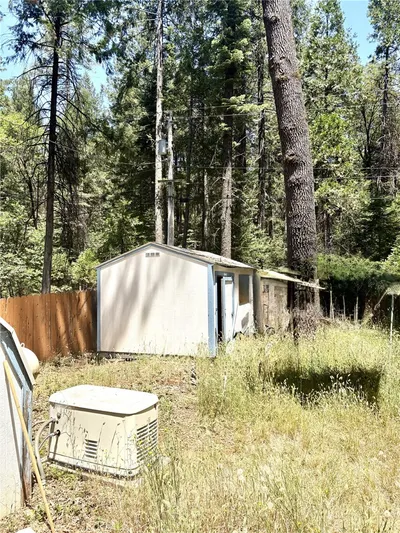 15048 Jack Pine photo 2