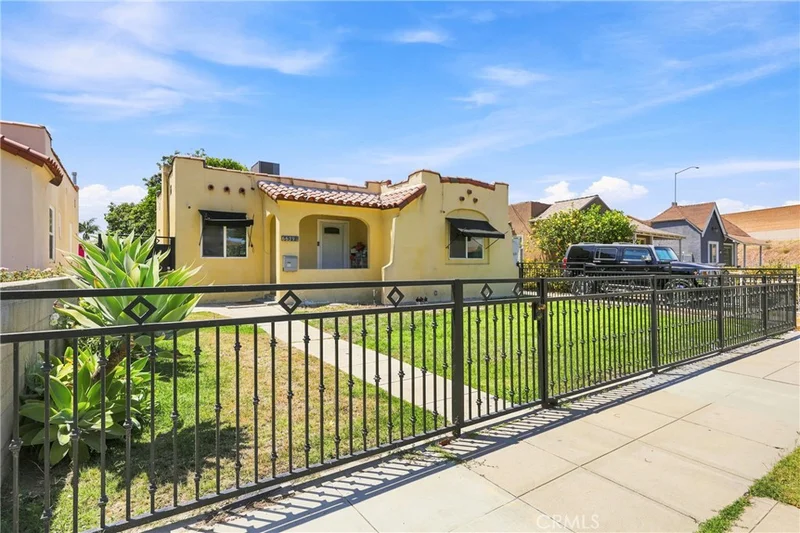 6639 Rose photo 2