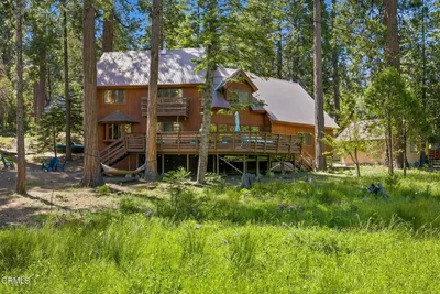 42031 N Evergreen Road photo 2