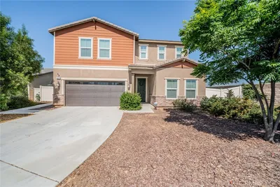 14279 Blue Bonnet
