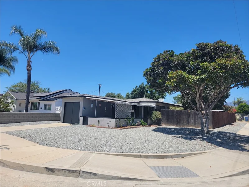 295 E Grevillia
