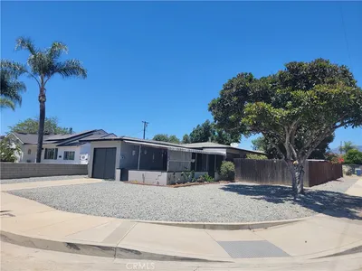 295 E Grevillia