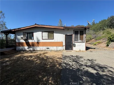 520 Black Bart