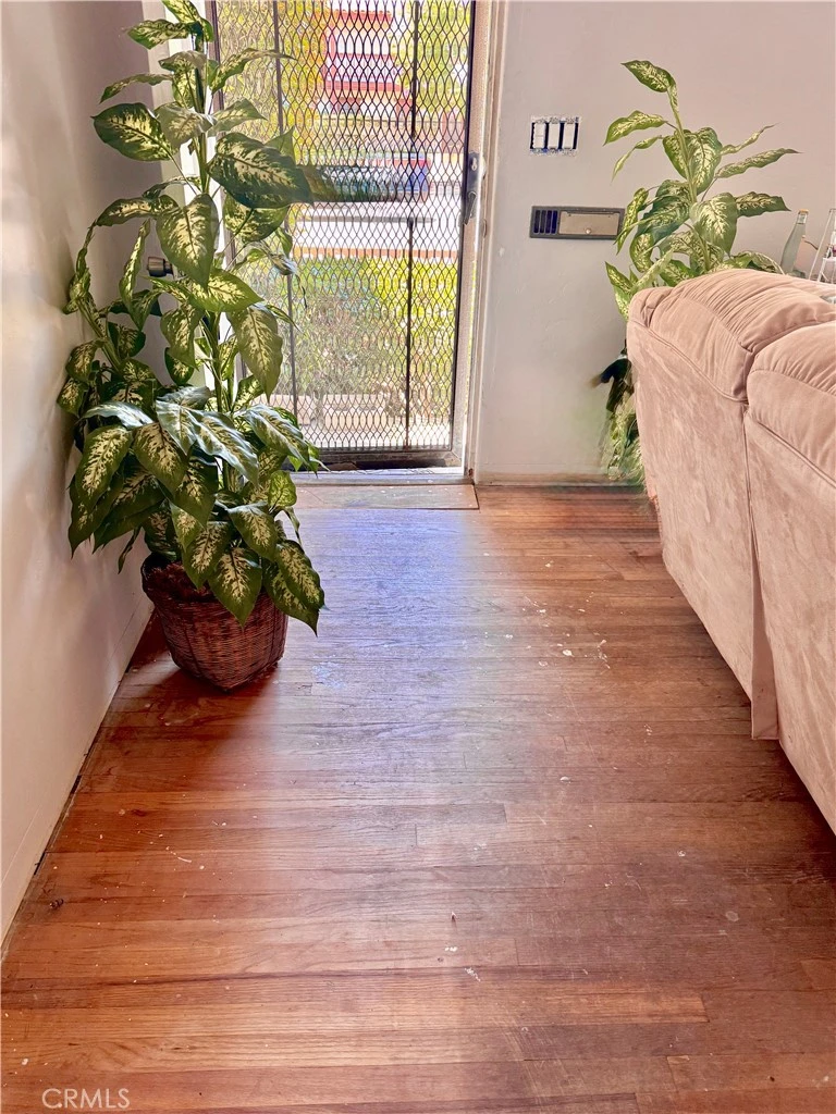 Interior 3