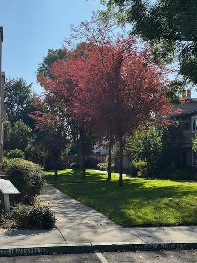3449 Wine Cask Way