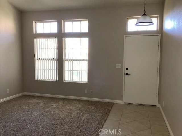 3716 Vireo Drive photo 2