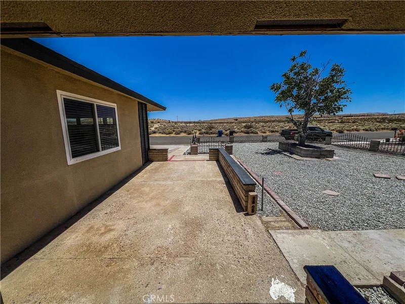 36370 Fern photo 2
