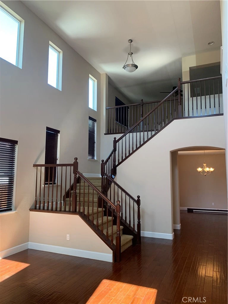 Interior 3