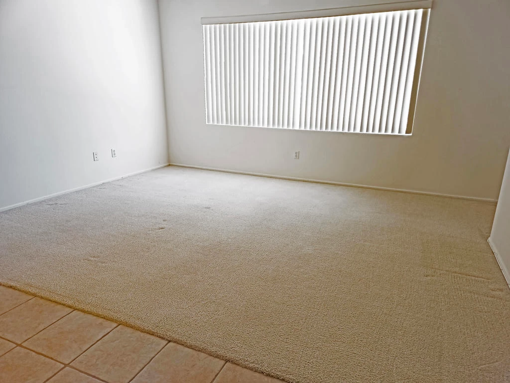 Interior 3