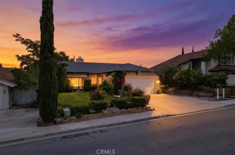 36790 Spanish Broom