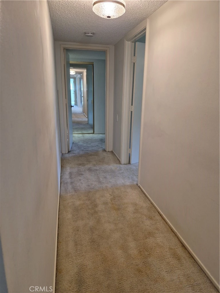 Interior 2