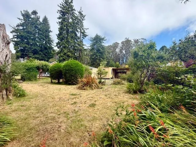 905 Pinetree Lane, Aptos, CA 95003