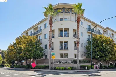 1315 Alma Ave 243