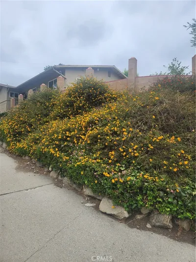 4600 Lauderdale Ave. photo 2