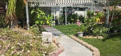 66656 San Marcus