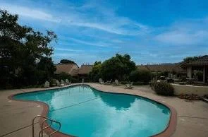 4106 Golden Oaks Lane photo 2