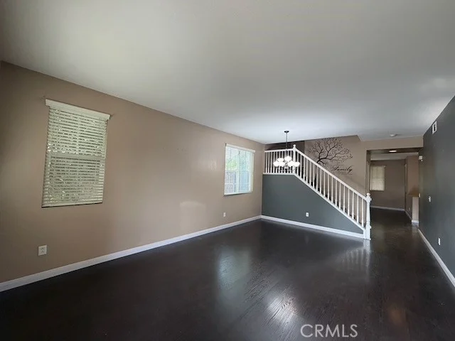 41103 Portia photo 2