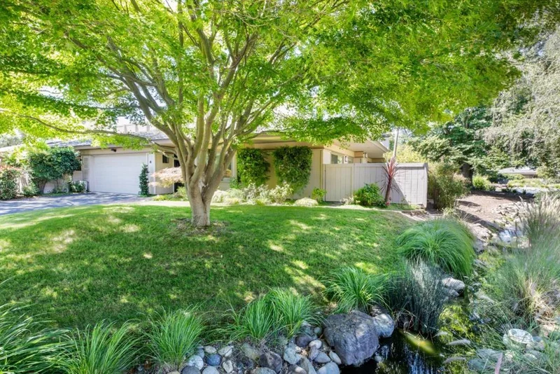 Photo 2 of 6 Bay Tree