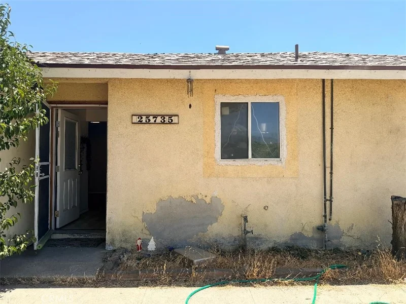 25735 Vine