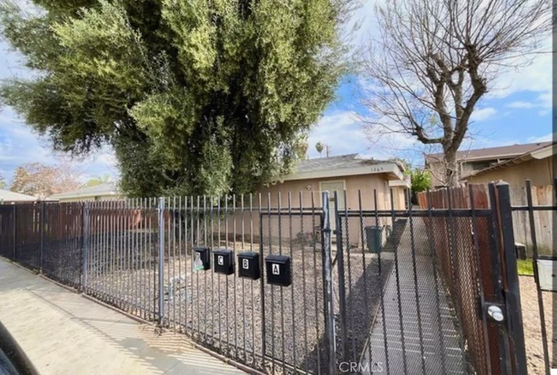 1265 Olive Tree Lane C