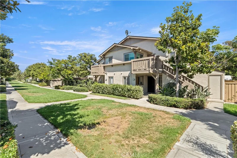 146 Echo 58 photo 2