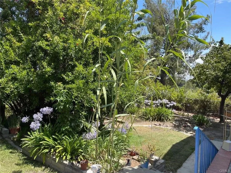 1420 Kensington Drive photo 2
