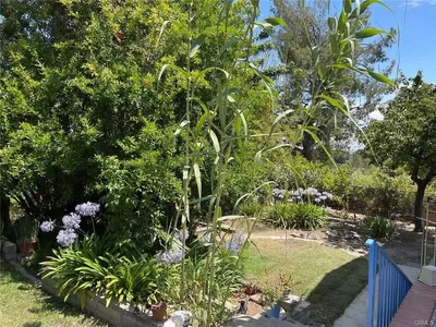 1420 Kensington Drive photo 2