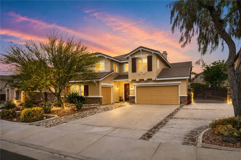 26352 Palm Tree