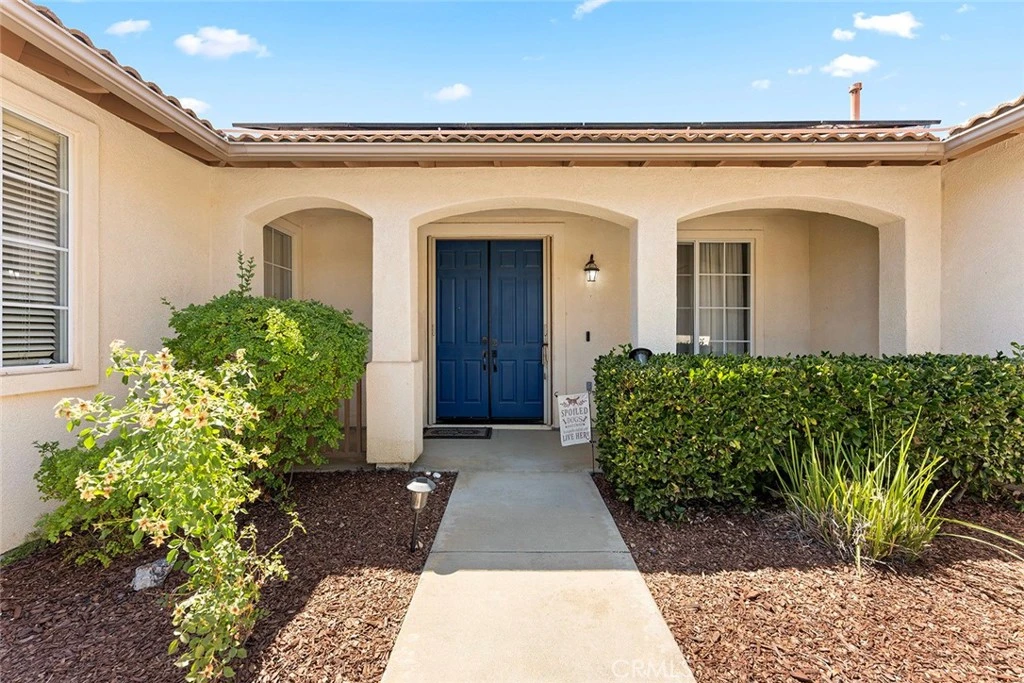 Interior 1